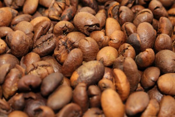 peaberry coffee beans